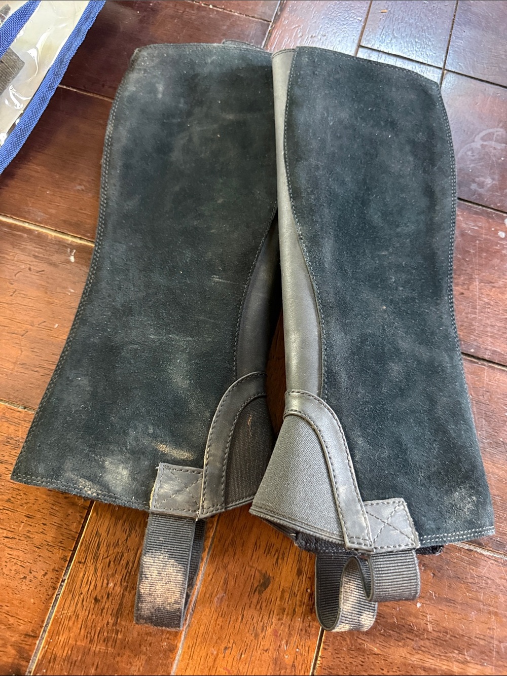 Ariat Navy and Bronze Youth Scout Half Chaps - Picture 4 of 6